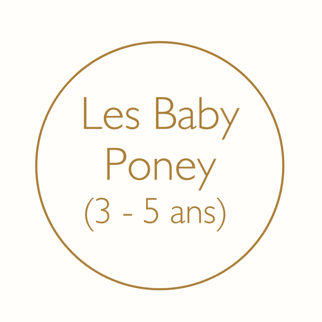 Les Baby Poney (3-5 ans)