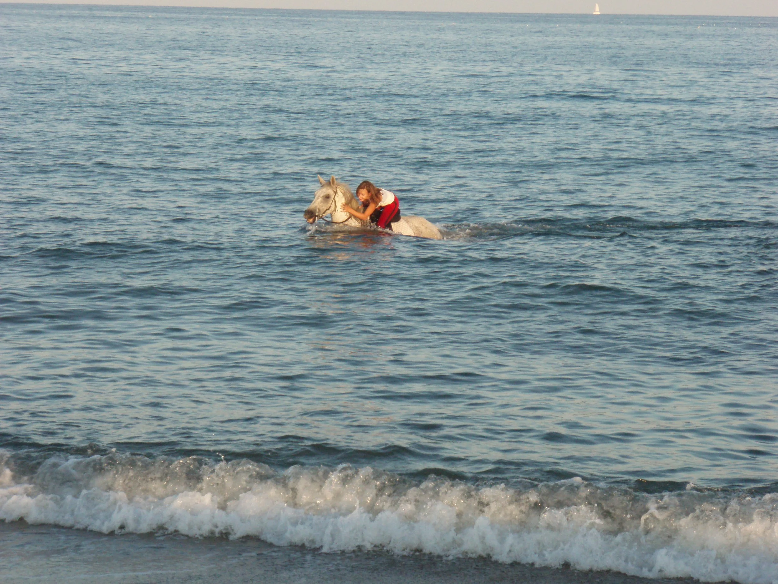 Cavalière dans la mer lors d’une expérience de tourisme équestre authentique en Corse