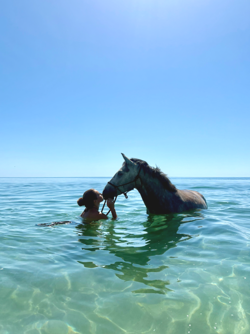 Cheval dans la mer en Corse