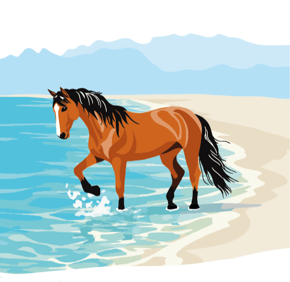 Un cheval sur une place corse