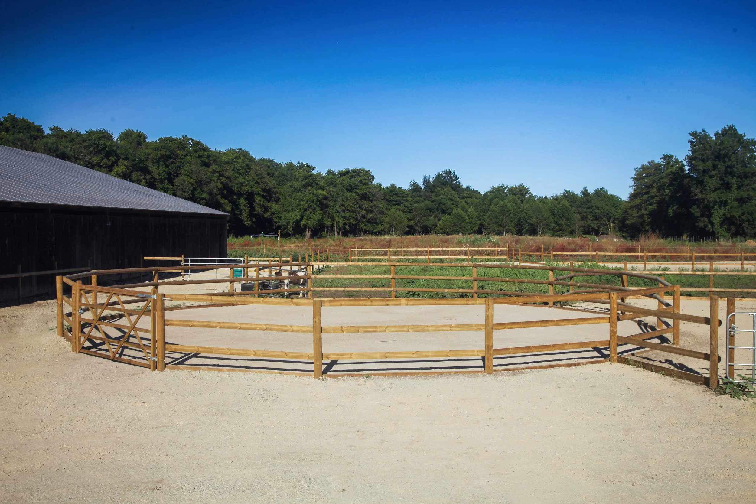 Rond de longe 15m