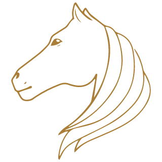 Portrait stylisé d'une tête de lion en or