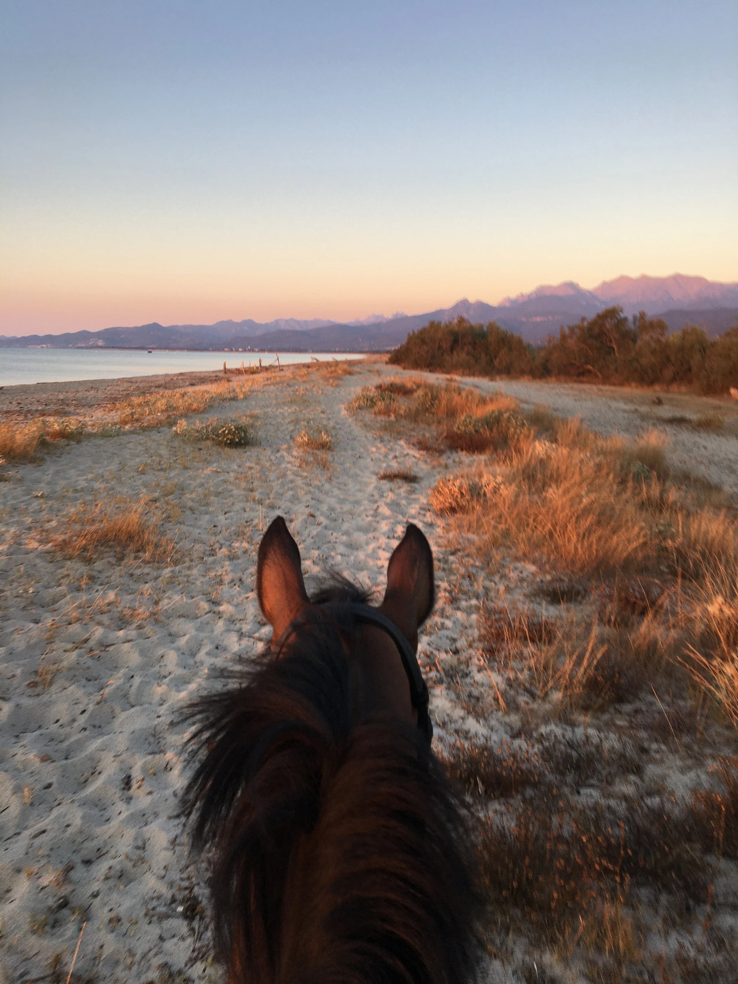 Balade à cheval sur la plage en Corse au lever du soleil