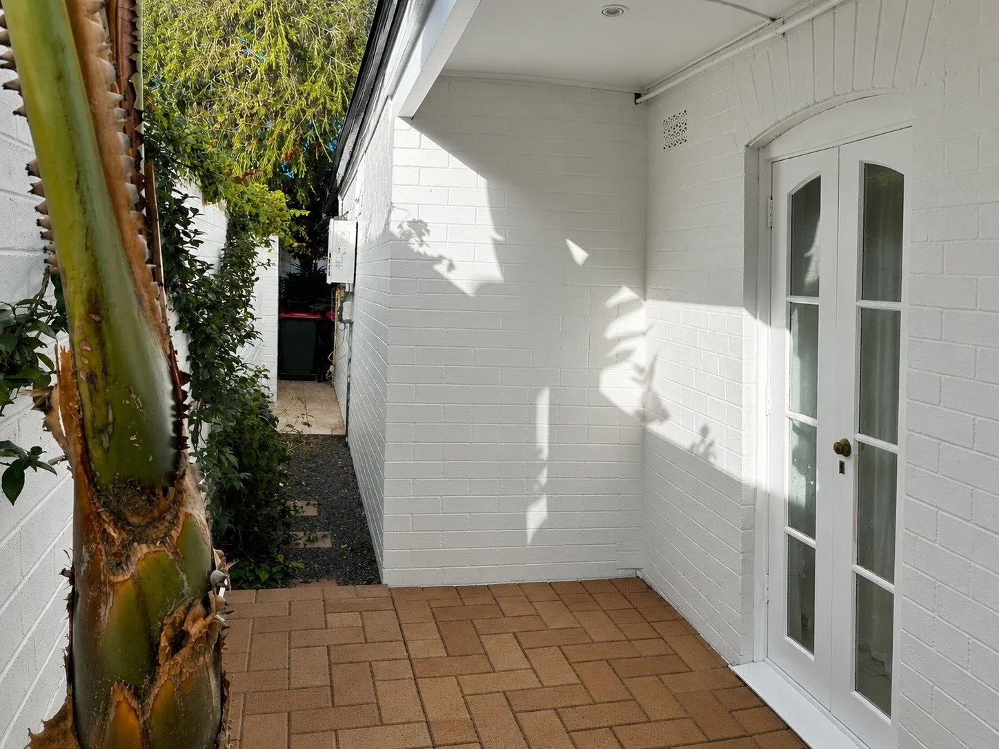 A small outdoor patio area with brick flooring, white brick wall, white door with glass panels, and a large cactus plant on the left side. Shadows of leaves are cast on the wall.