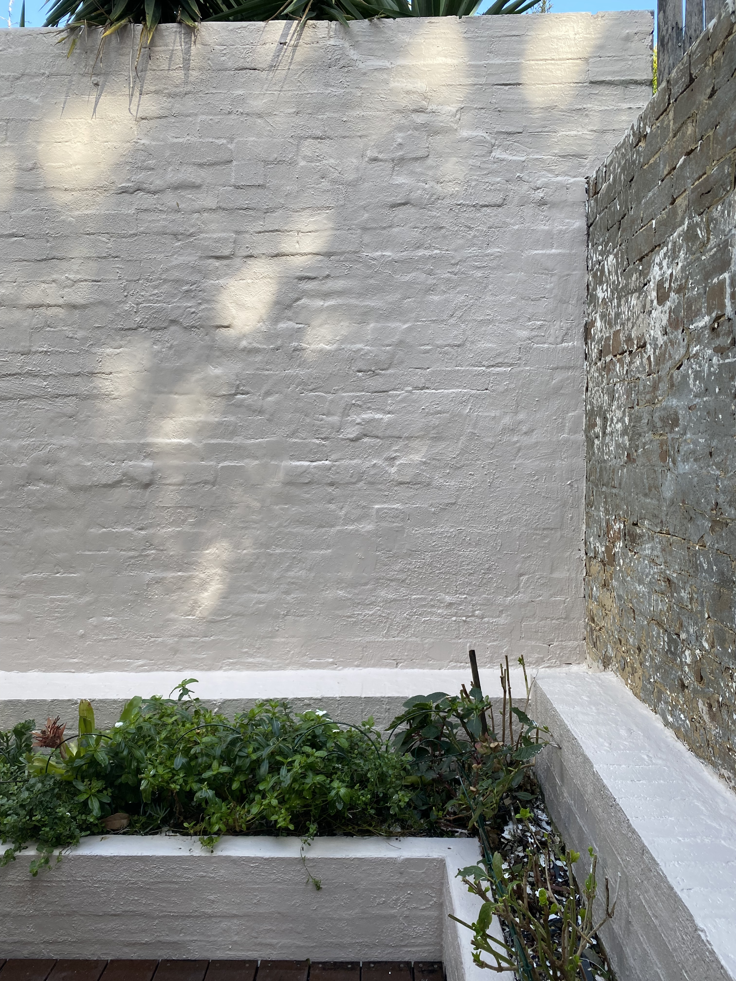 Exterior wall painting for Sydney terrace courtyard with heritage brick detail