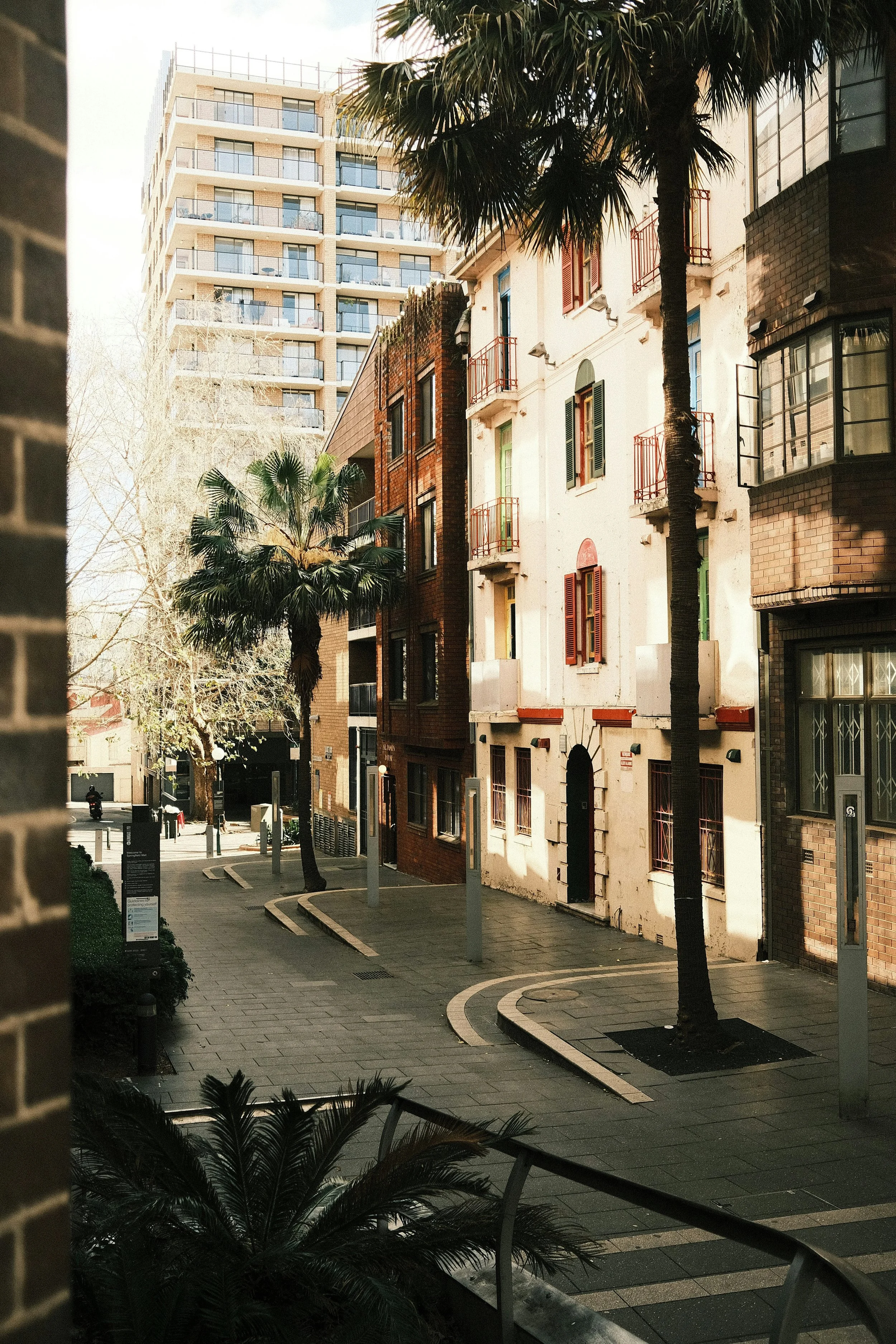 A quiet street scene with multi-story residential and commercial buildings, palm trees, sidewalk, and a person riding a bicycle in the distance, taken during daylight hours.