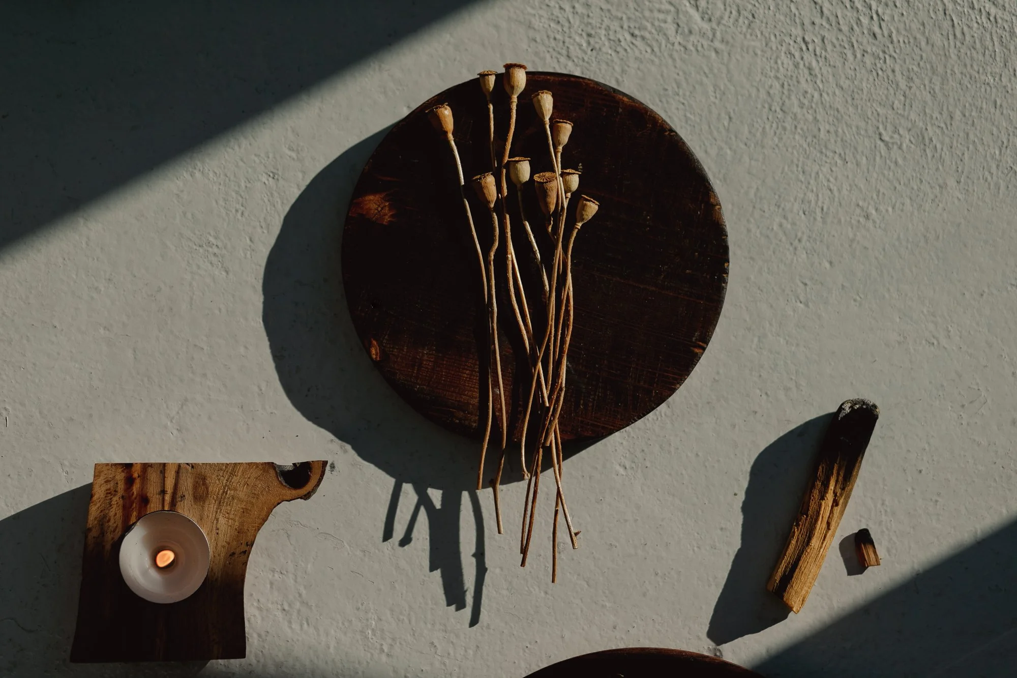 Dried flowers and a candle on a sunlit table – calm guidance through the medical world