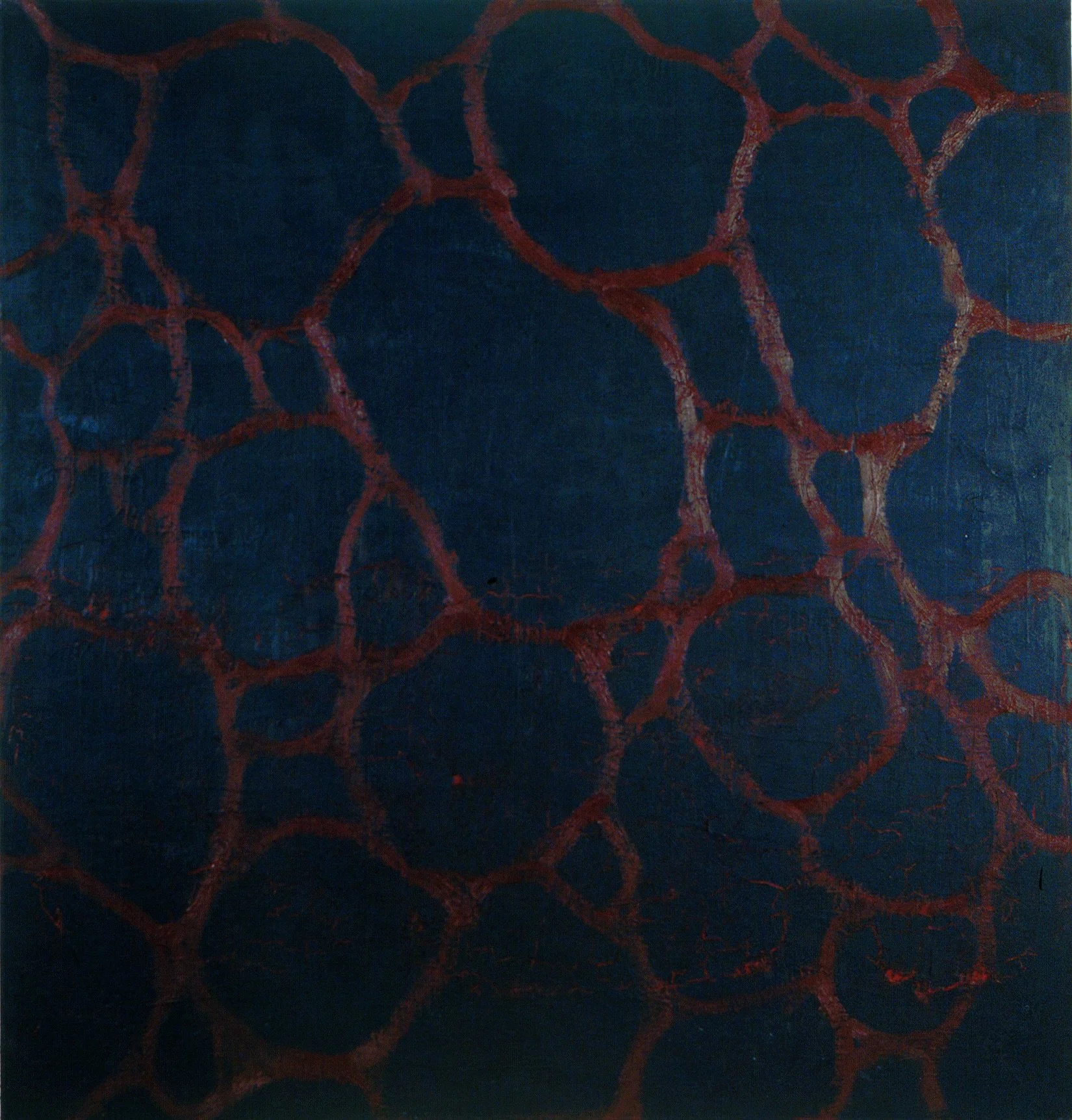 Corolla I, Oil and Microcrystalline Wax on Canvas, 1990, 240 x 240 cm