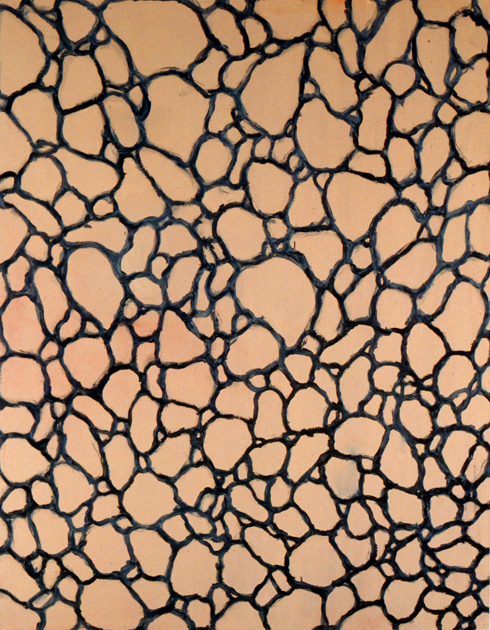 Corolla, 1989, 220 x 180