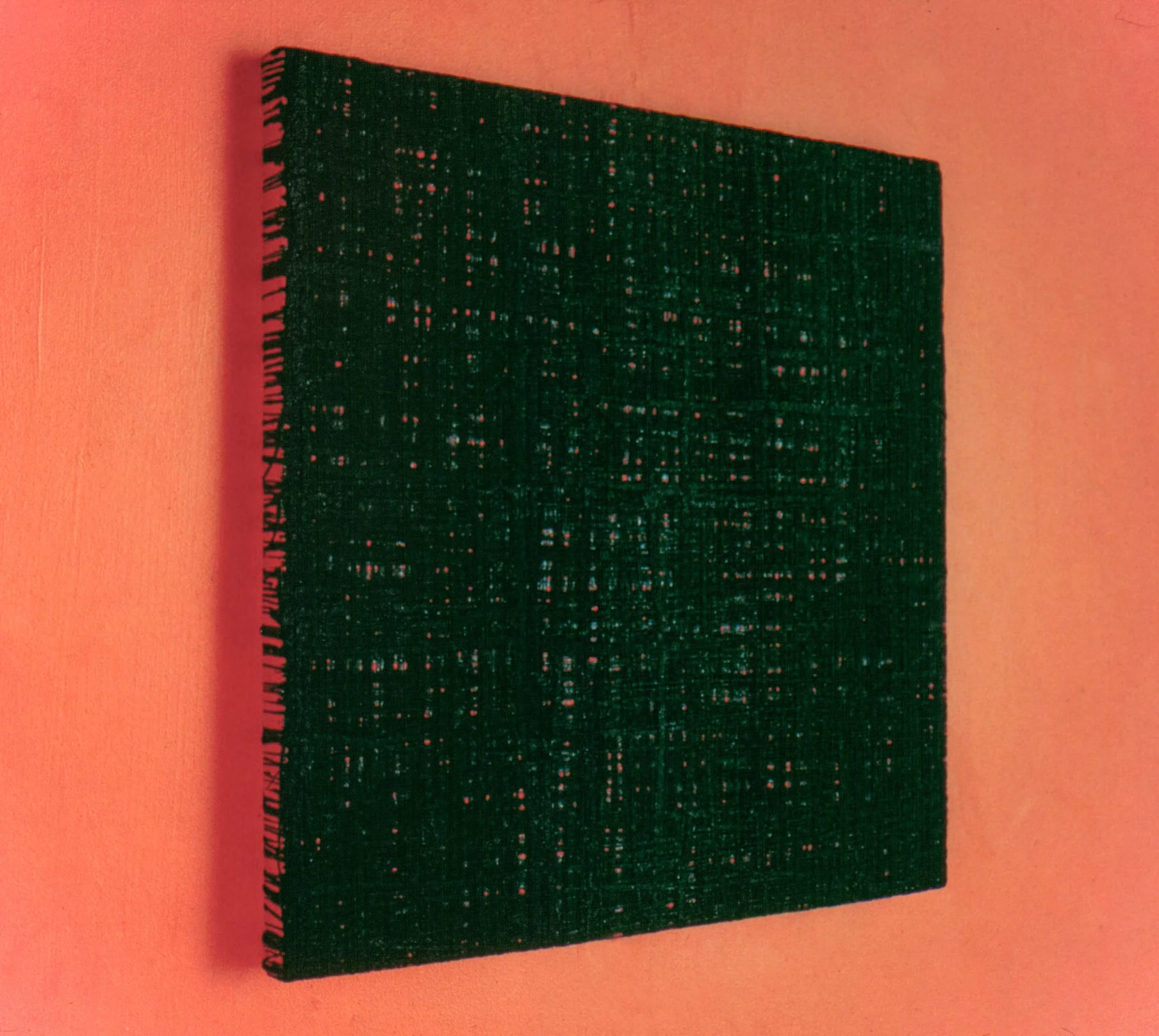 Wrapped Salmon (detail), Oil on canvas/Acrylic painted on the wall, 1992, 100 x 100 cm