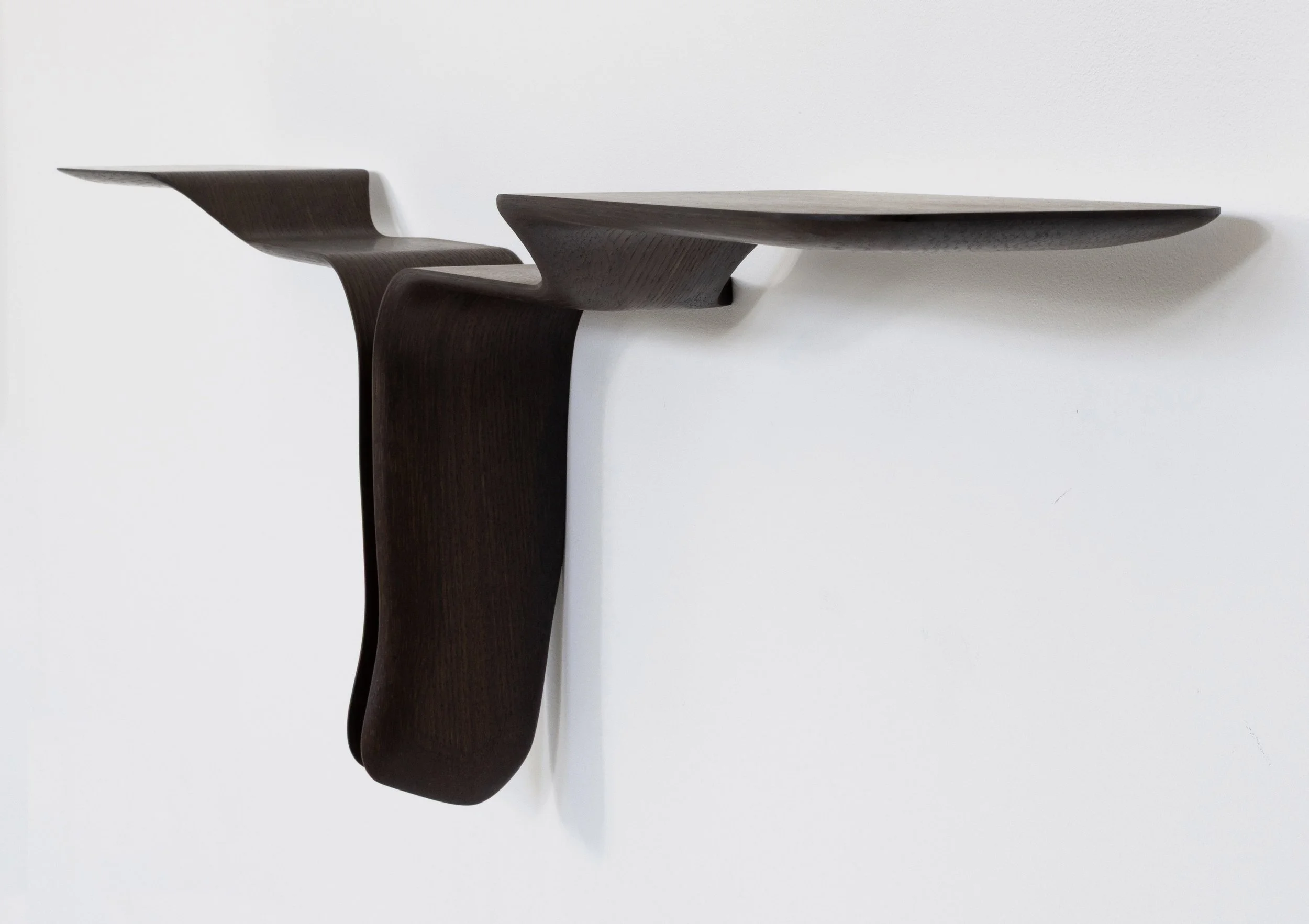 Conchiolin Floating Shelf #2