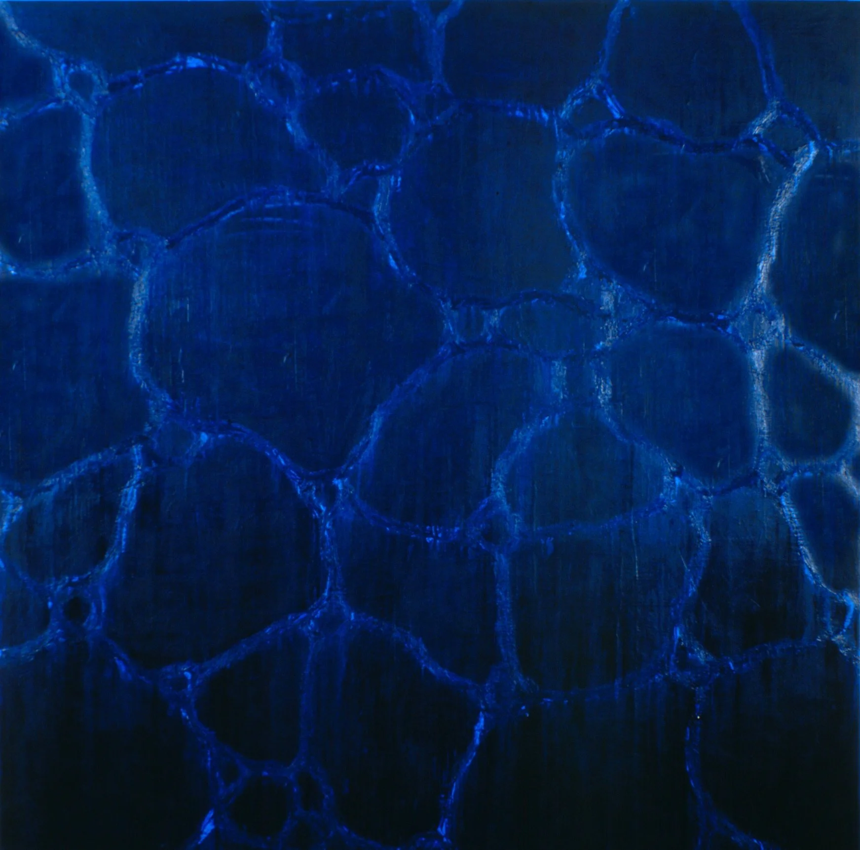 Corolla II, Oil and Microcrystalline Wax on Canvas, 1990, 240 x 240 cm