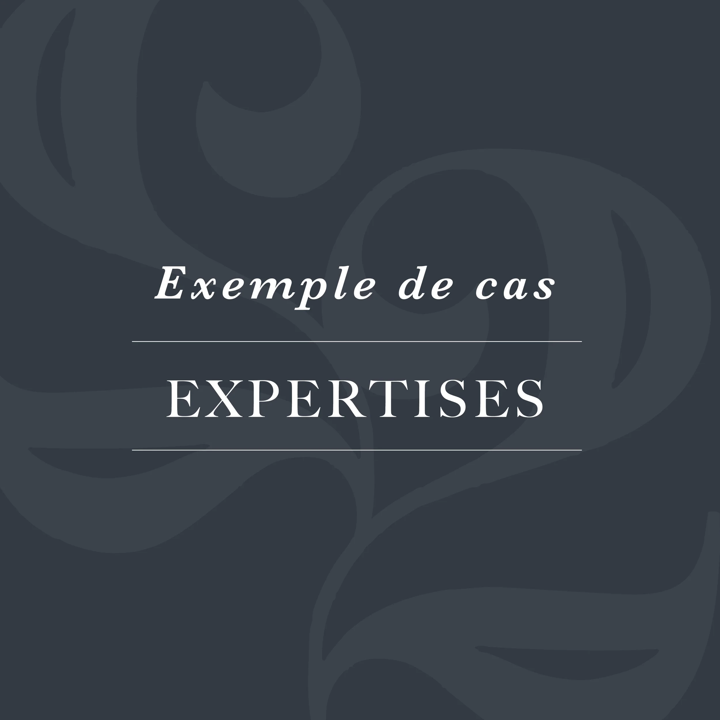 EXPERTISES