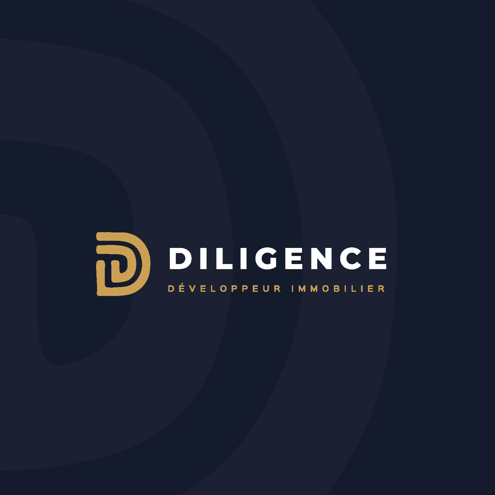 portfolio+polimage6.png