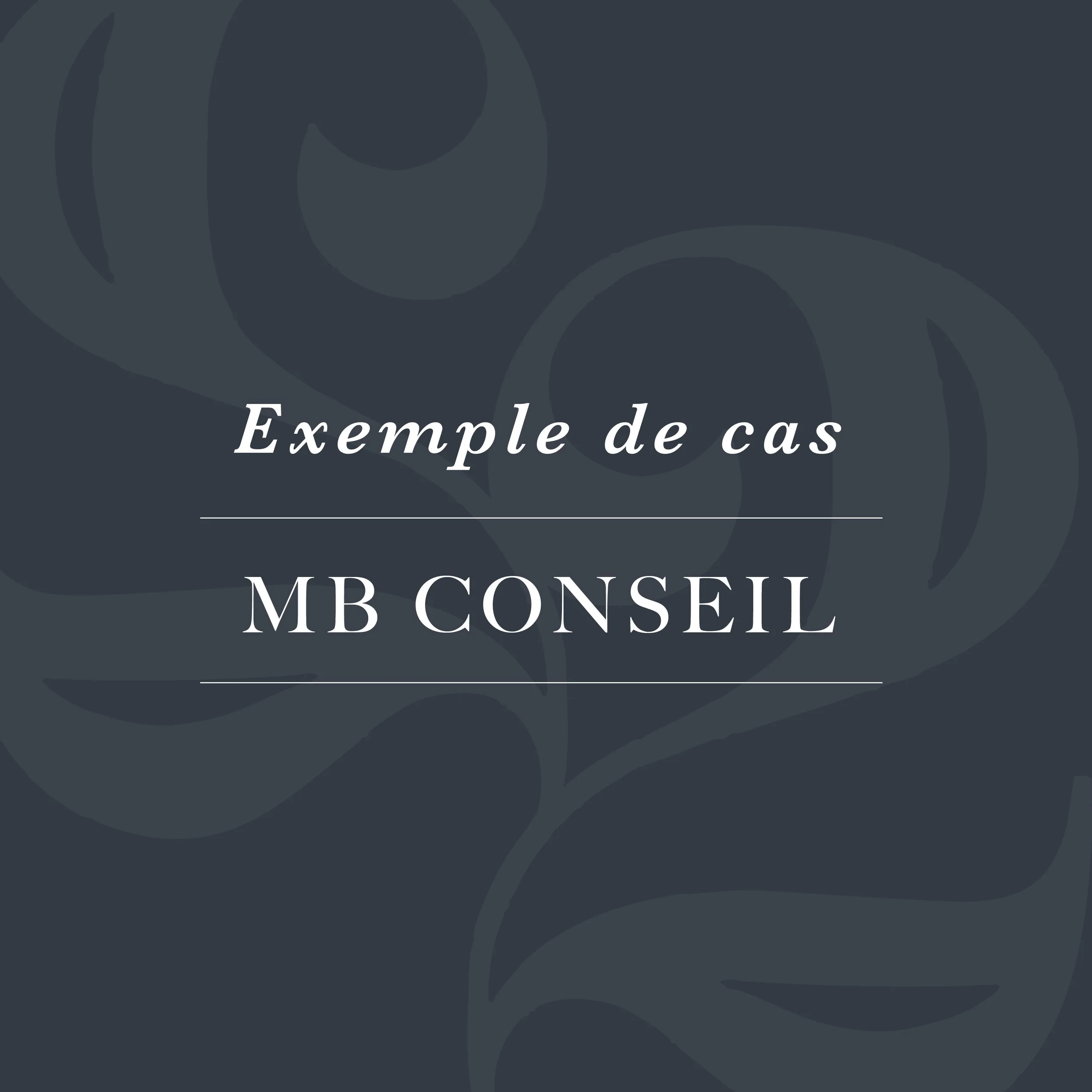 MB CONSEIL