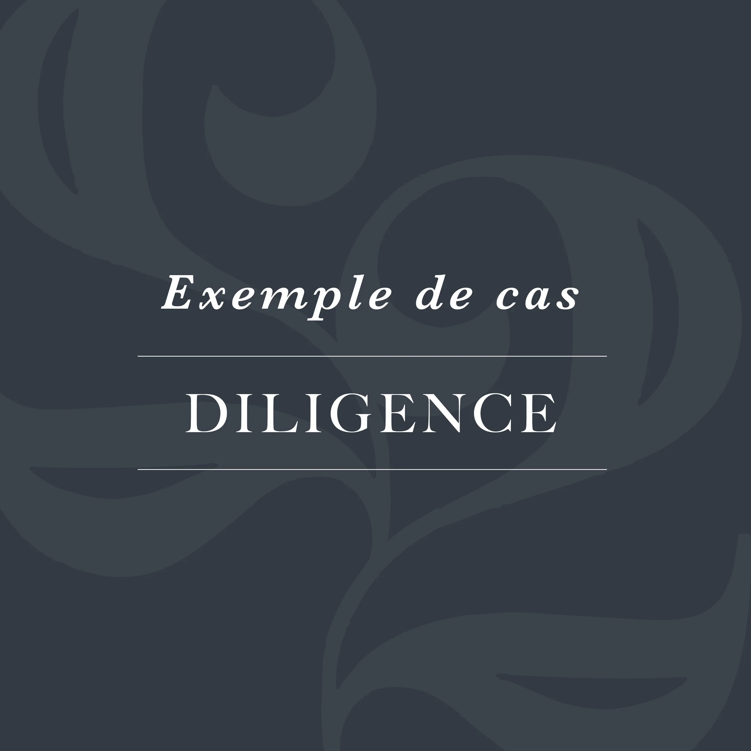DILIGENCE
