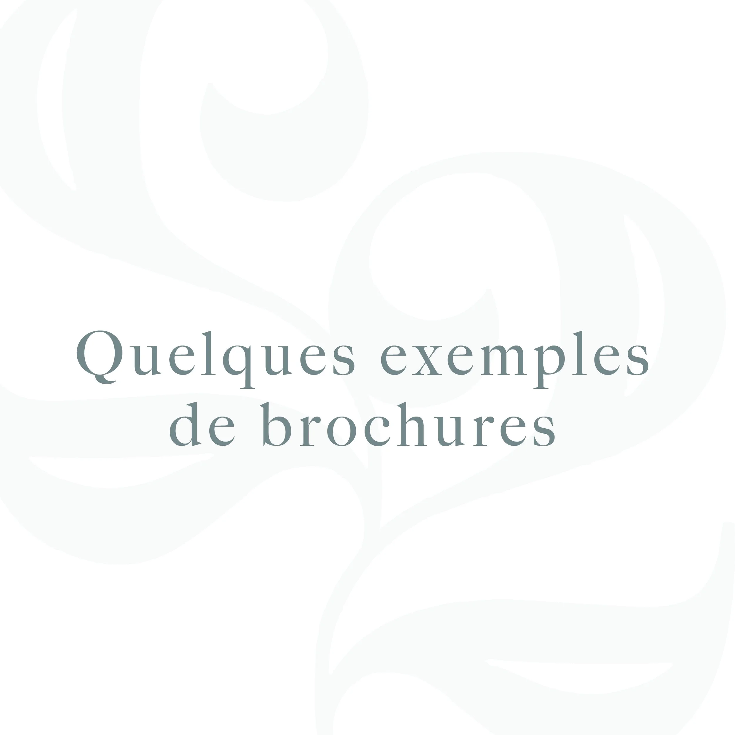 Exemples de brochures