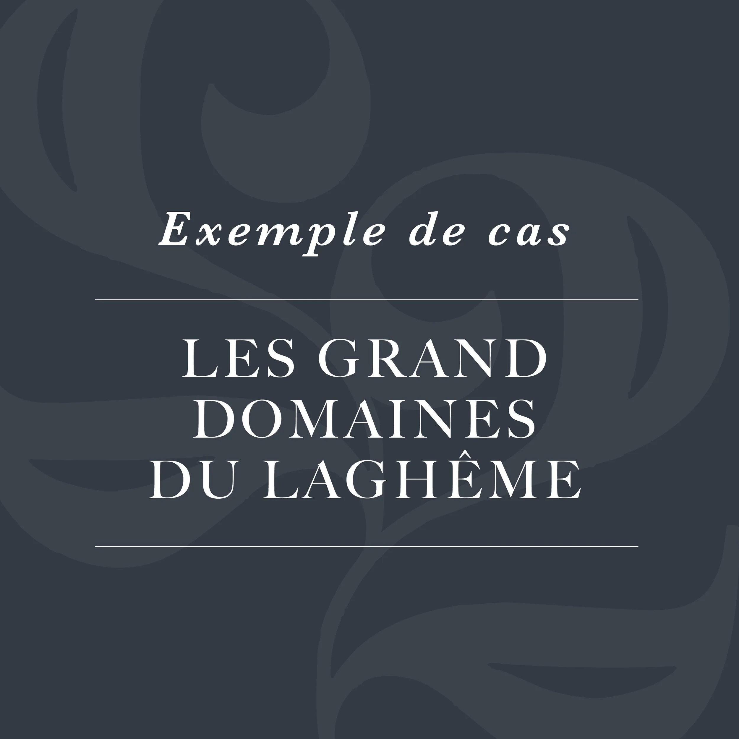 LES GRANDS DOMAINES DU LAGHEME