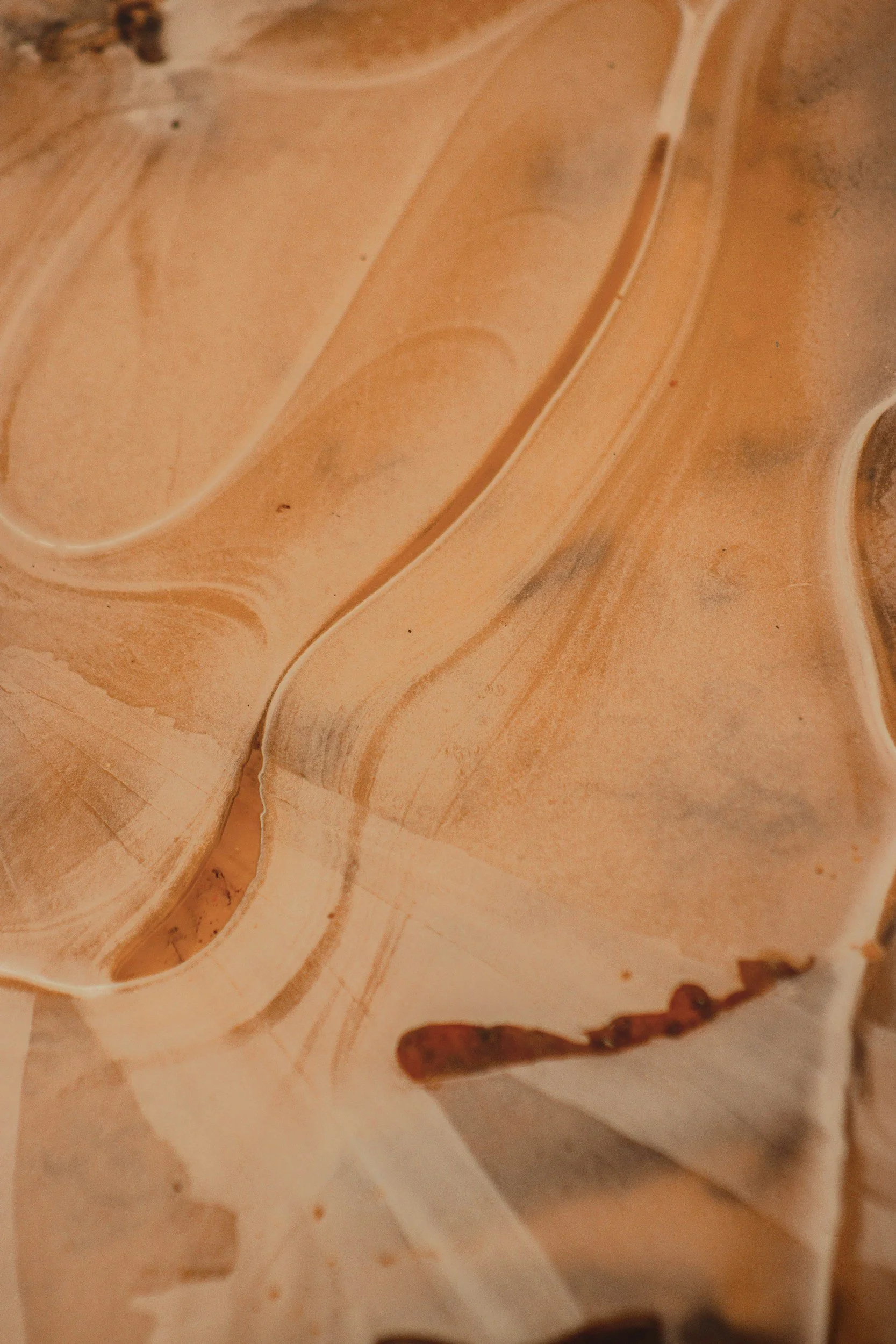 Close-up of layered wood slices with a warm, earthy tone.