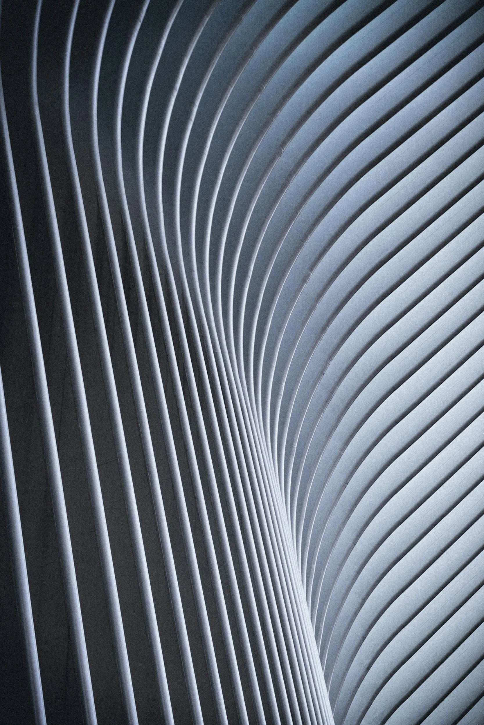 Close-up of architectural metal or concrete slats forming curved, parallel lines in a modern building interior.