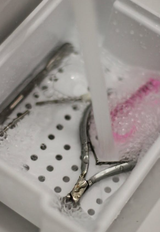 Eine Spinne in einem Wasser-Becken mit laufendem Wasser und Seifenschaum.