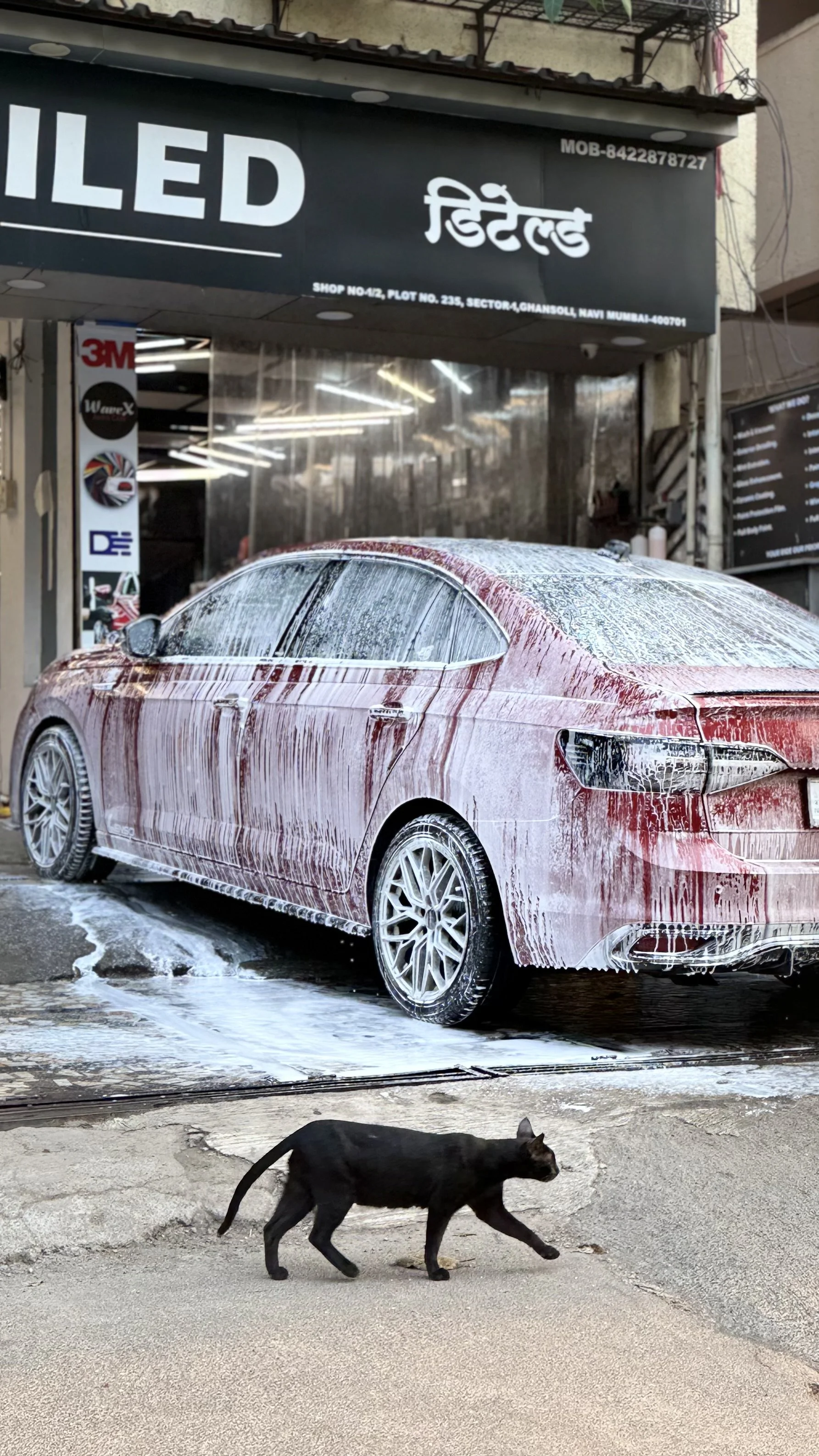 Virtus is getting professional detailing at Detailed Ghansoli, Navimumbai.