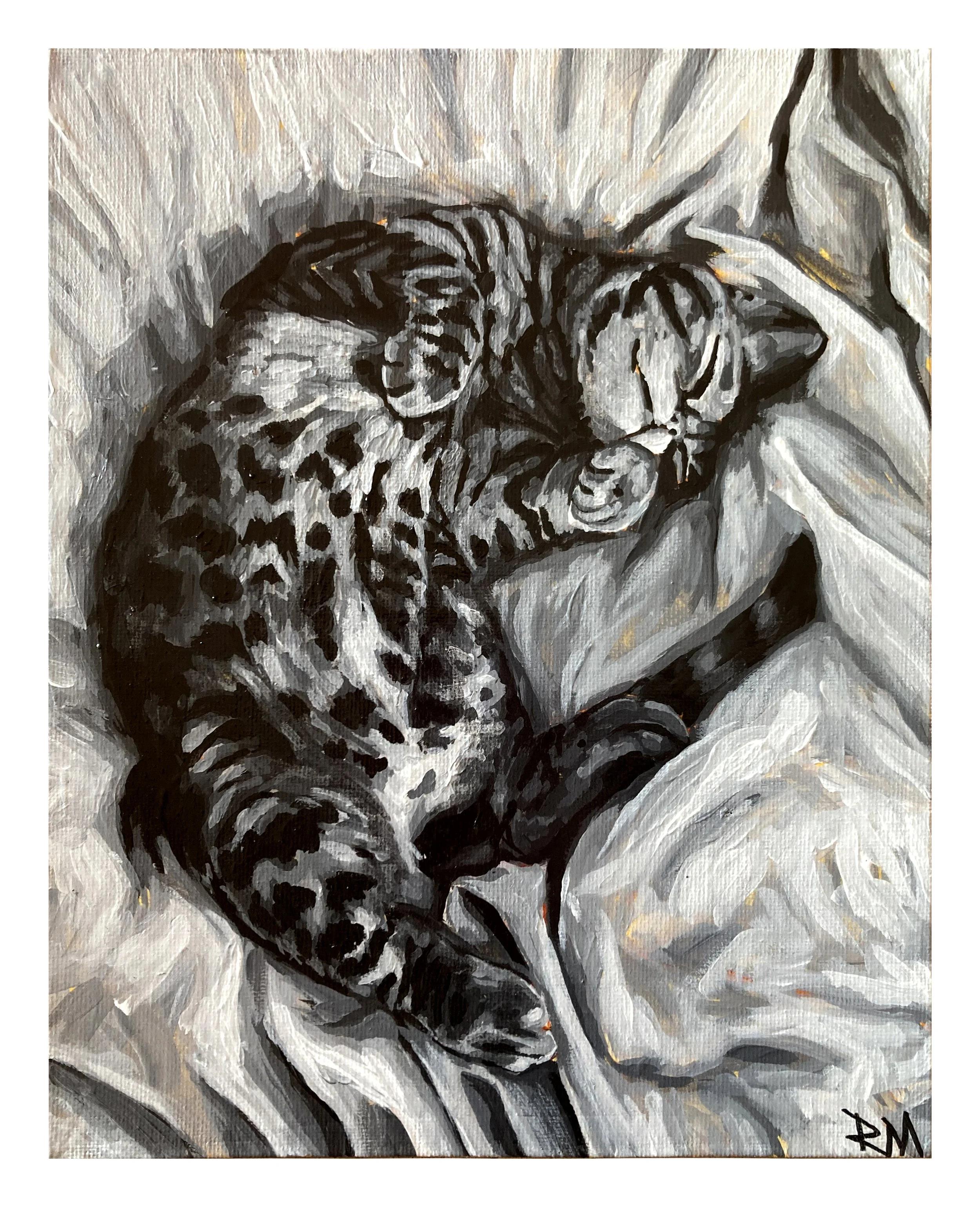 Clems Cat.jpg