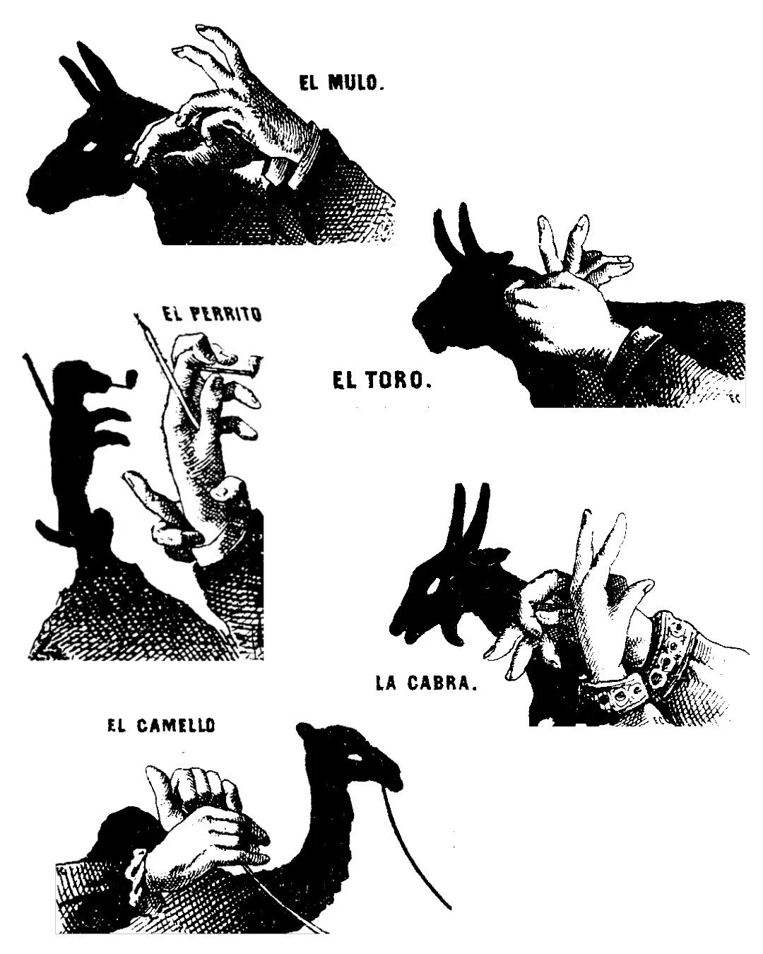 hand shadow flash 2.jpg