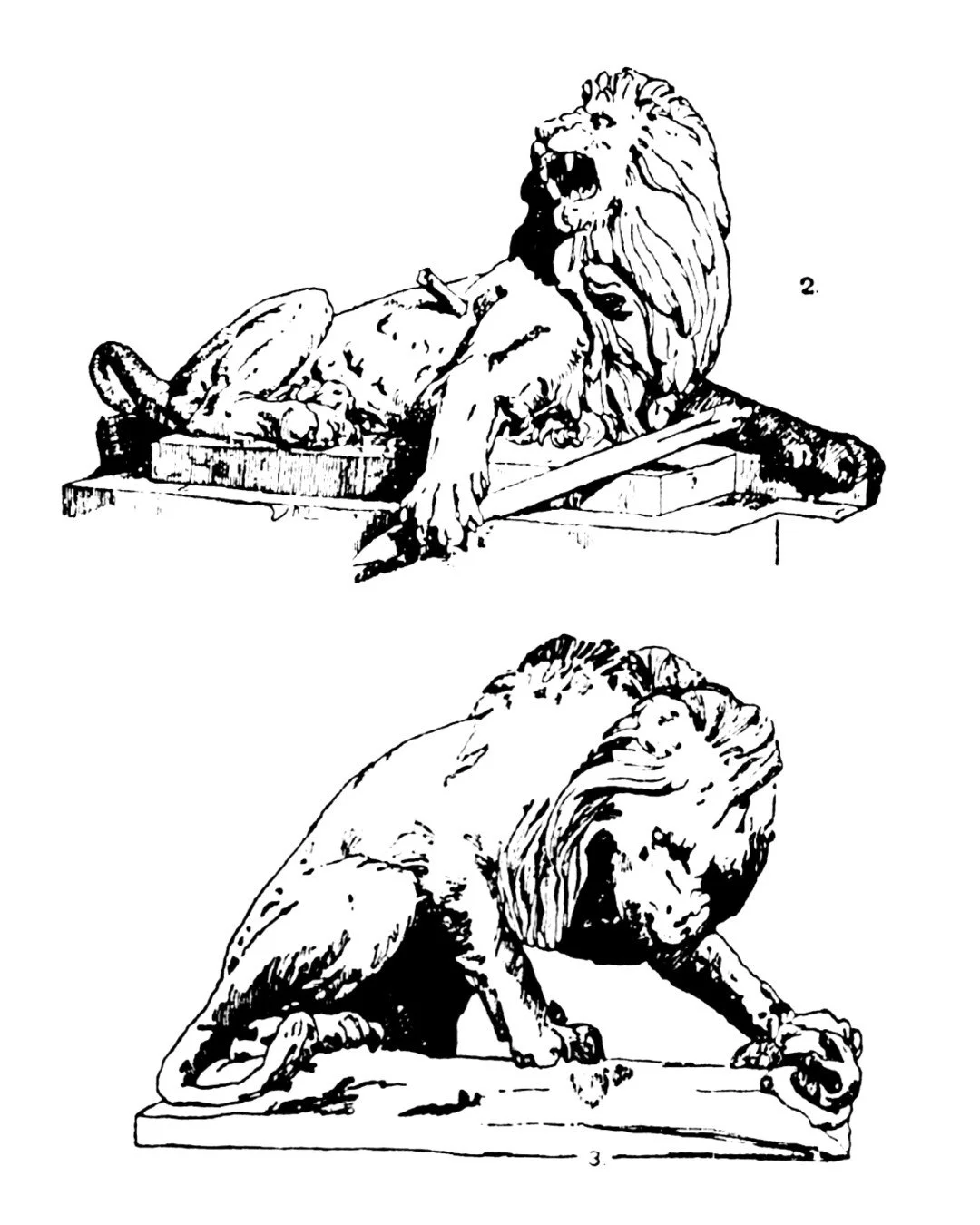 lions.jpg