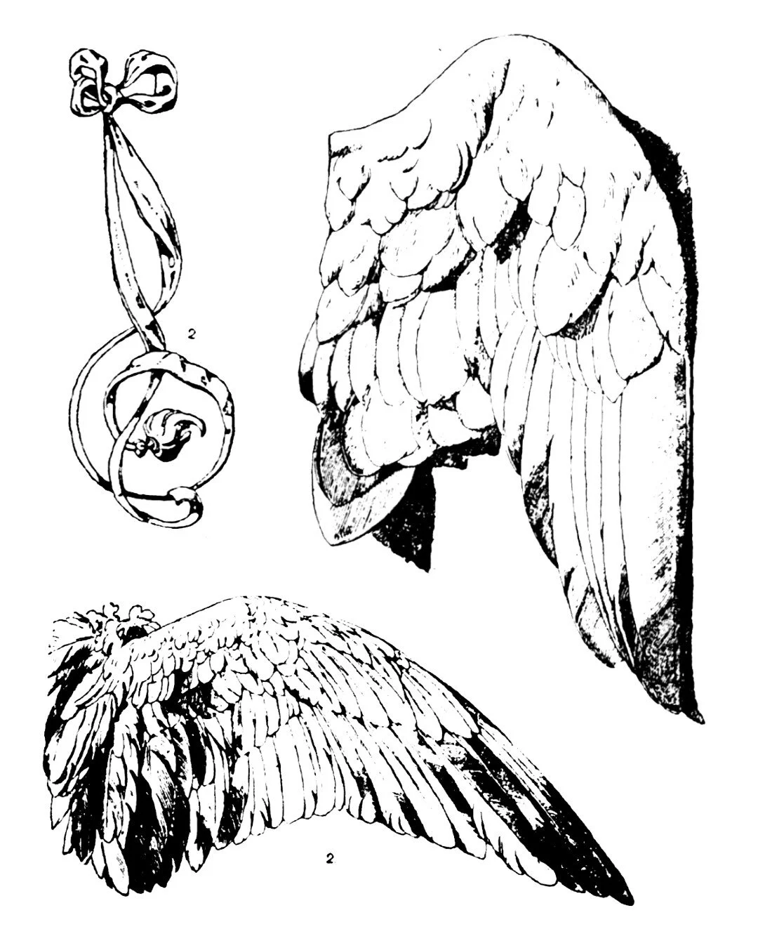 wings.jpg
