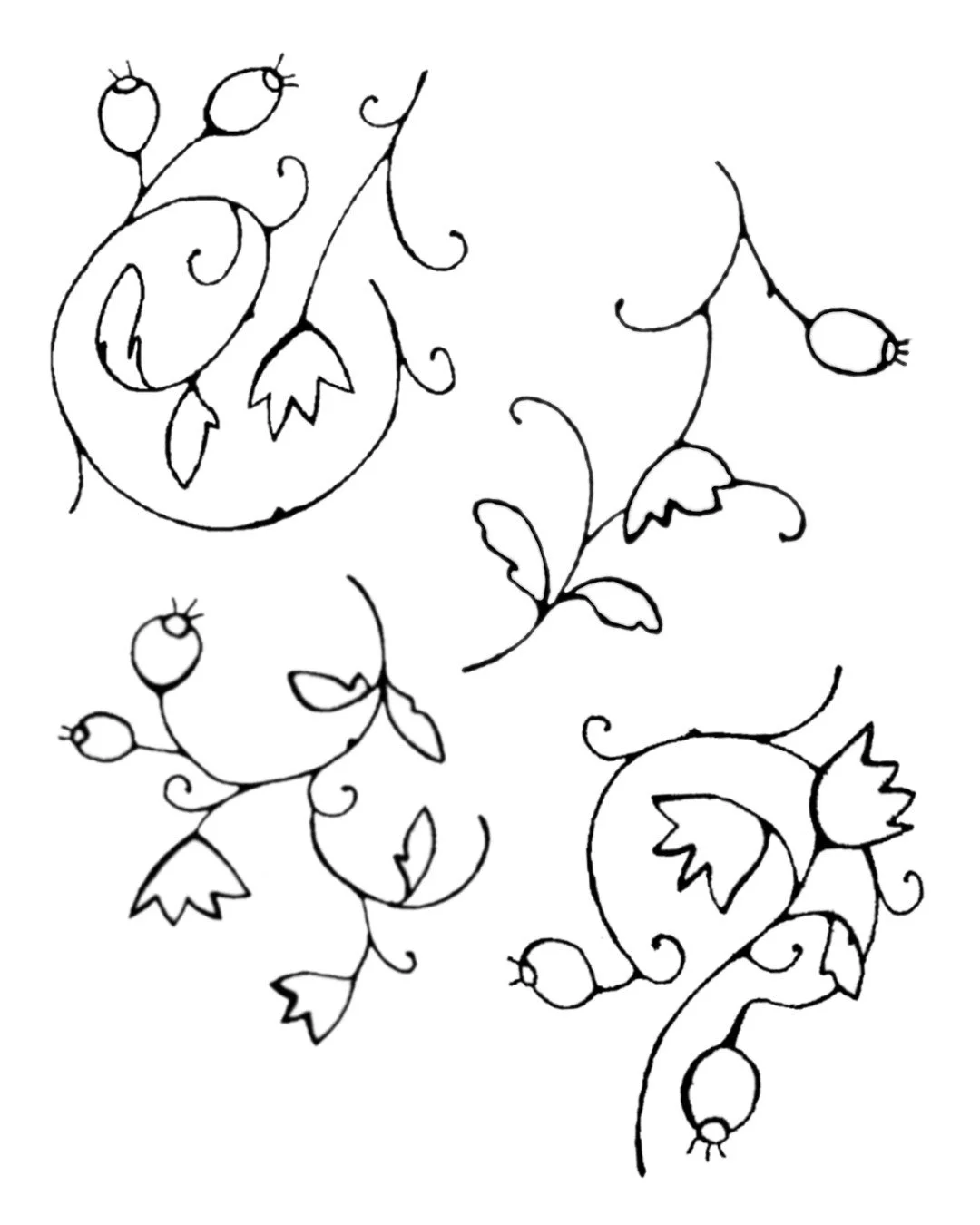botanical flash 2.jpg