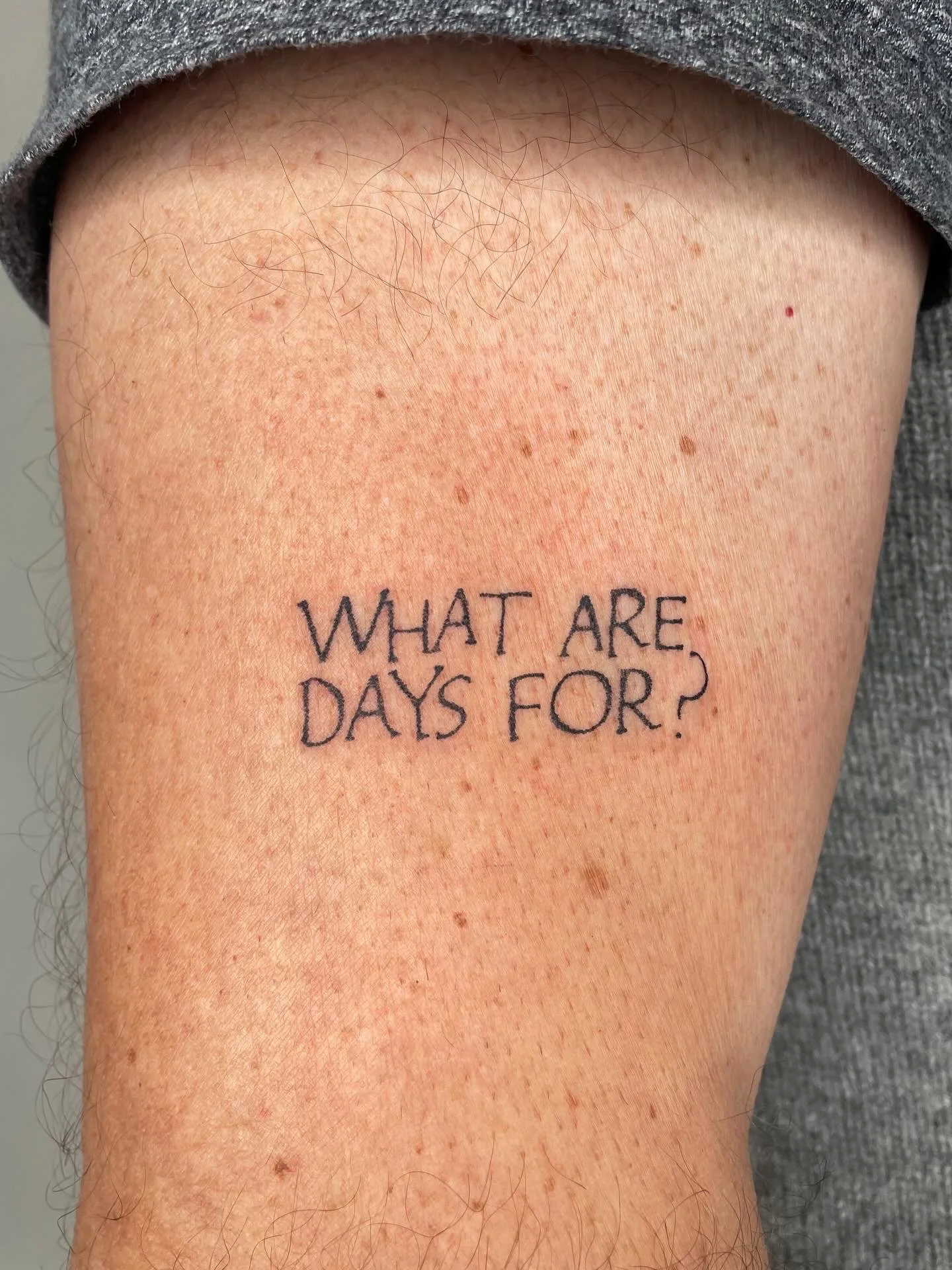 A675C1AB-93ED-4E0C-97CA-15F4685DE638.JPG