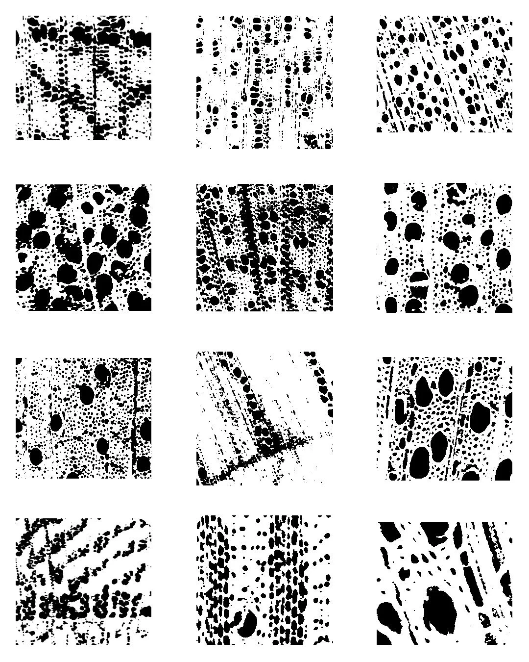 cells flash 1.jpg