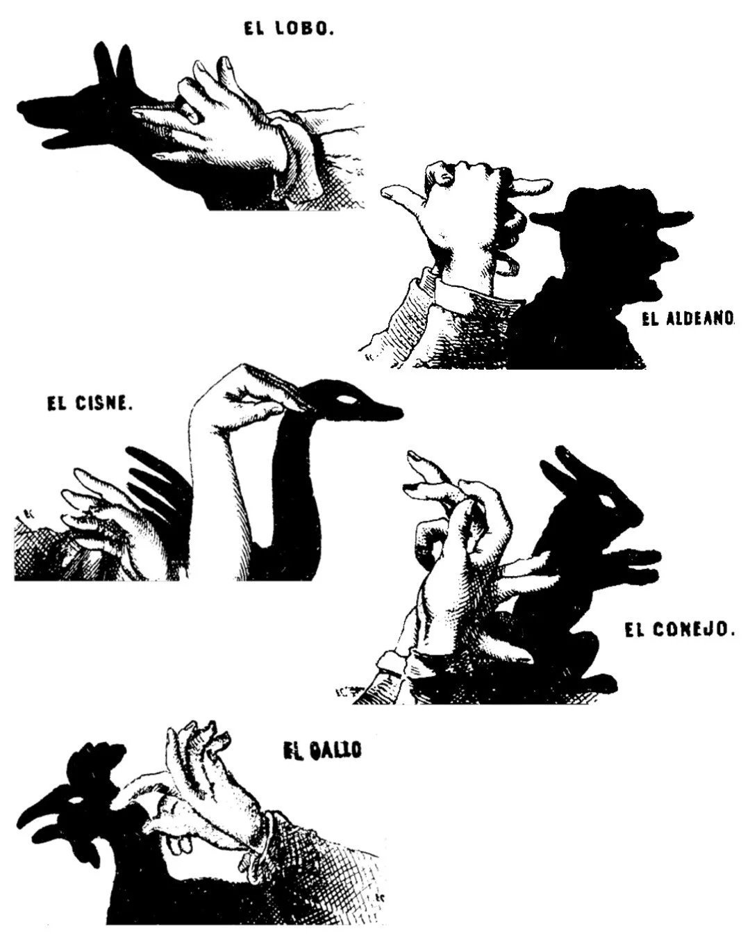hand shadow flash 1.jpg