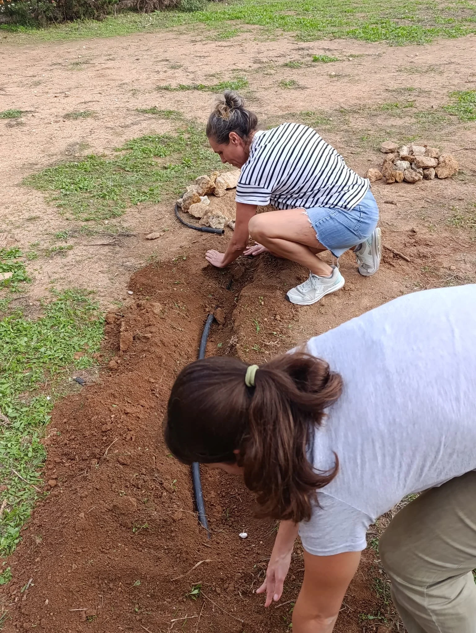 Persona cavando en la tierra, rodeada de piedras y césped, en un espacio al aire libre.