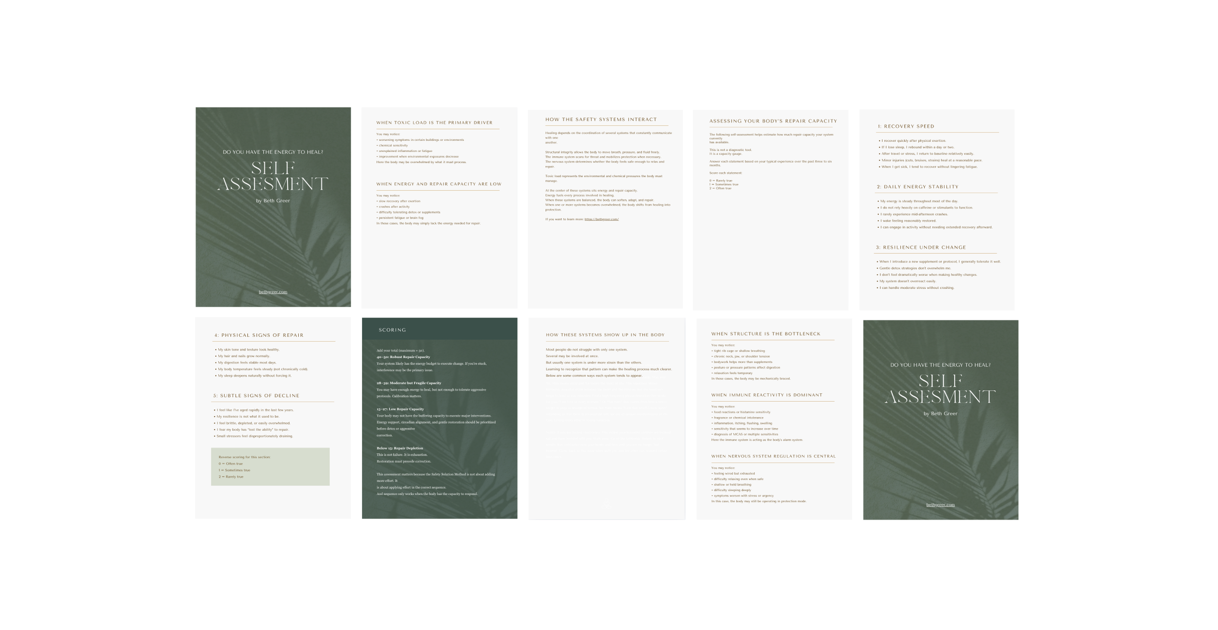 Cover and pages of a self-assessment guide titled "Do You Have the Energy to Heal?" by Beth Greer, featuring a green background with a leaf pattern and text outlining various health and energy topics.
