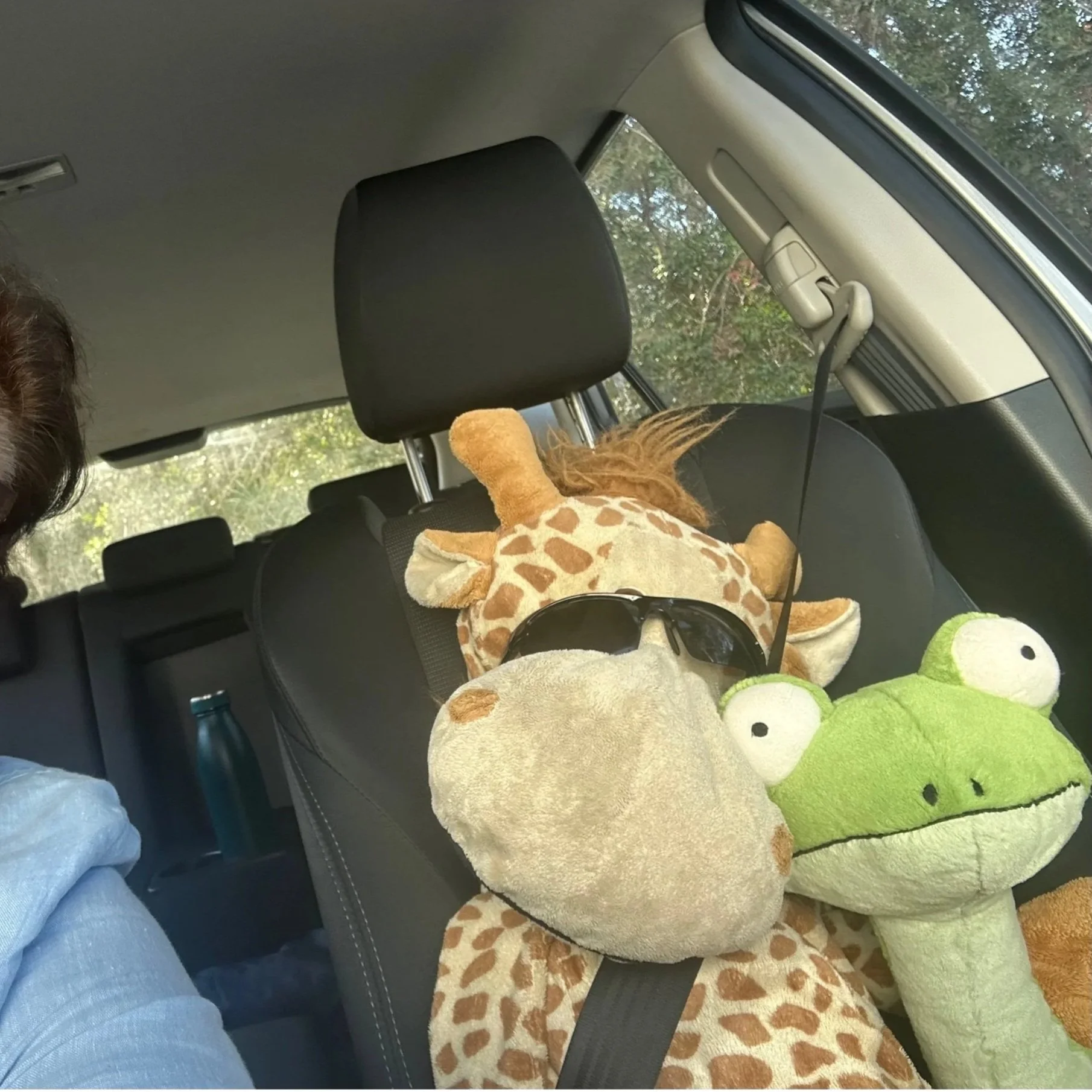 Pure, useless decorations