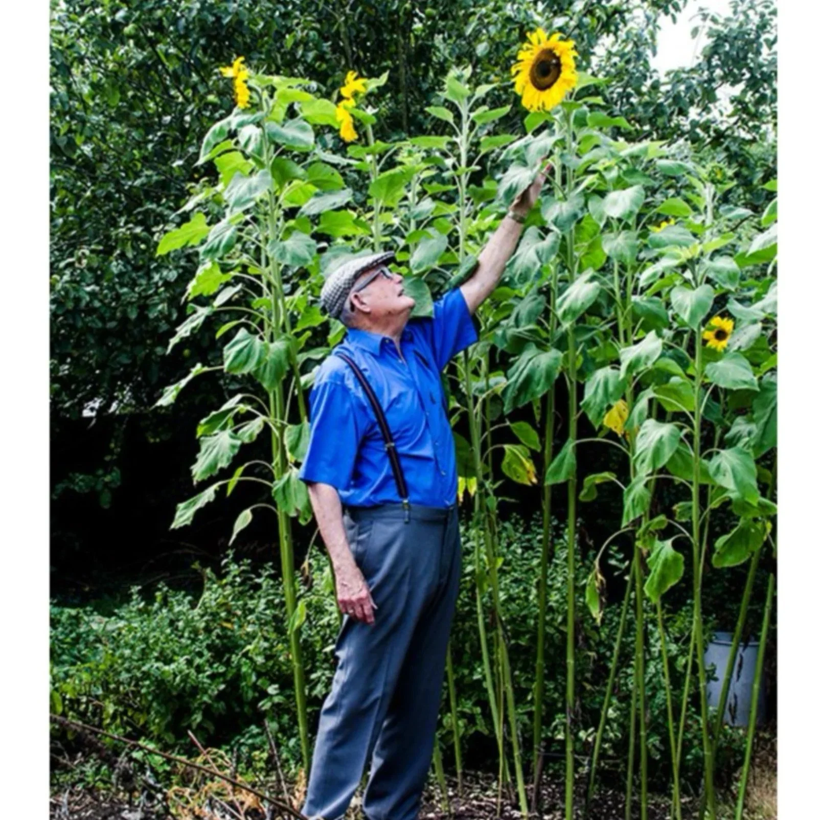 A precise image of happiness