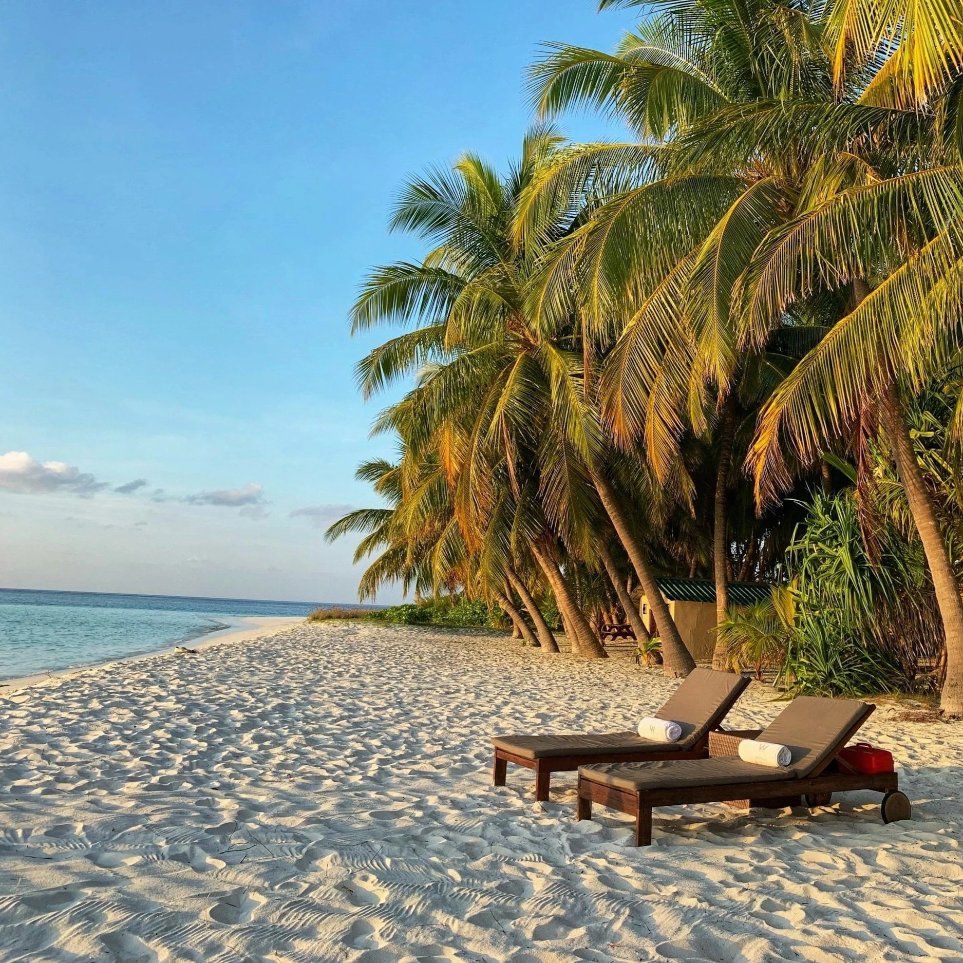 Two wooden lounge chairs with rolled towels on a sandy beach, lined with palm trees, overlooking the ocean under a blue sky.
