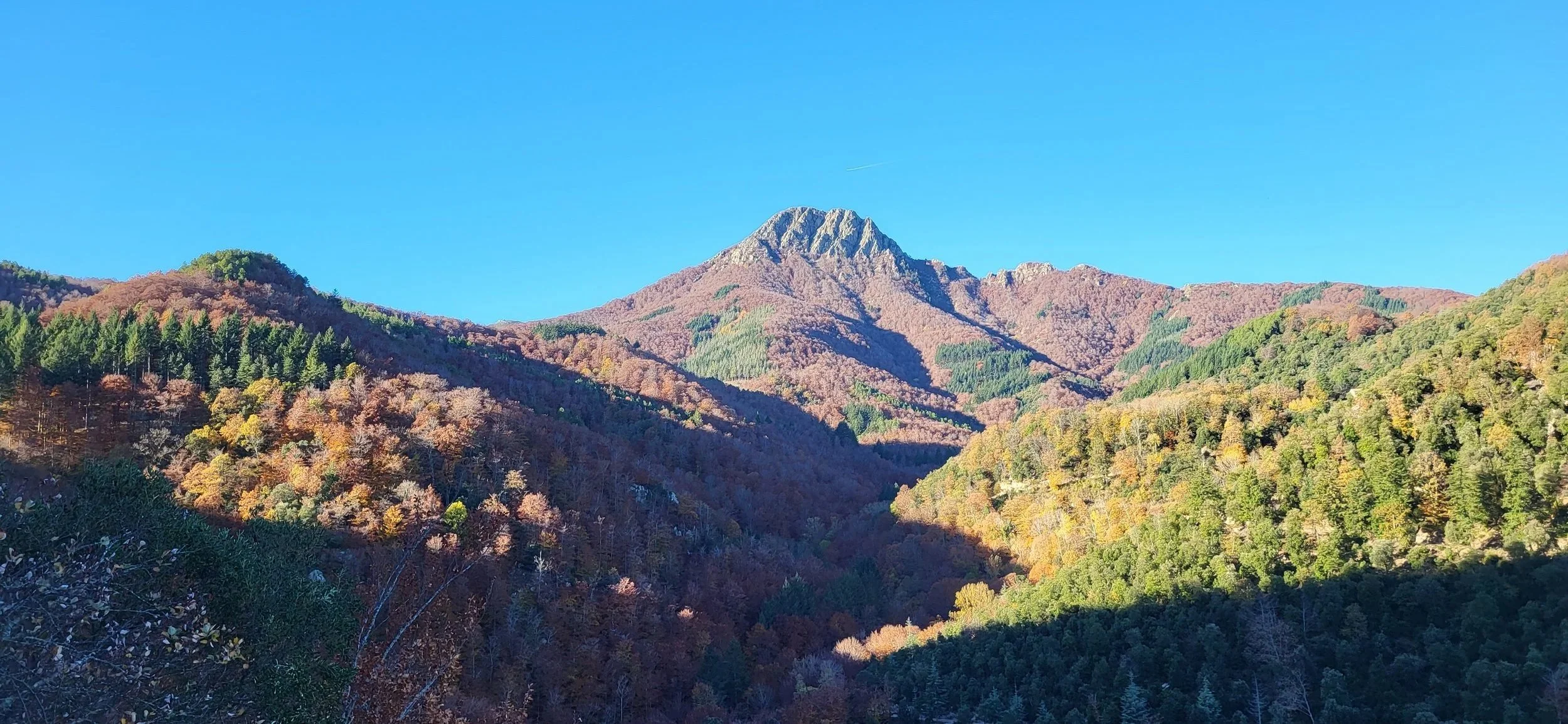 Montaña rodeada de bosques en otoño, bajo un cielo azul claro.