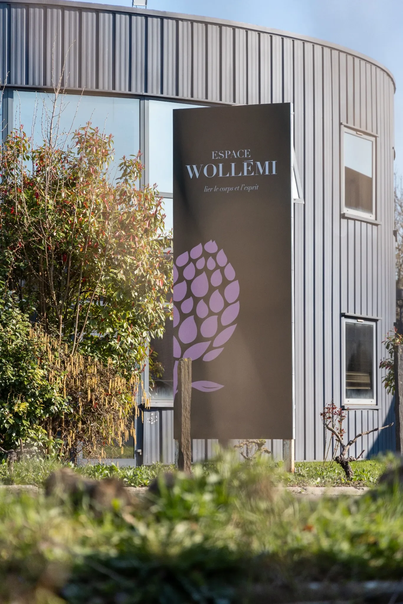 Panneau d'affichage noir avec le texte 'ESPACE WOLLEMI, tuer le corps et l'esprit' et un motif de gouttes d'eau lavandes en bas. Extérieur d'un bâtiment en métal.