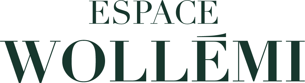 Titre de votre site