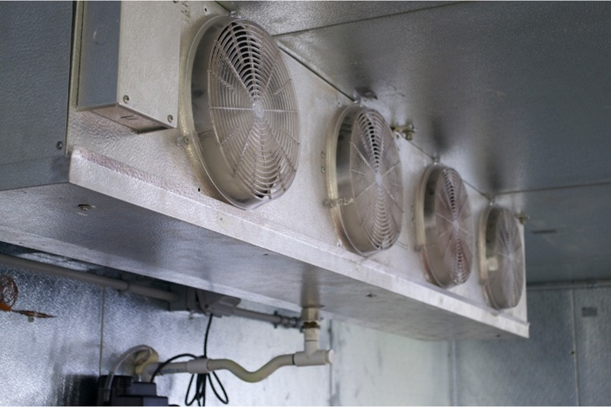 Best Practices for Maintaining Walk-In Coolers and Freezers