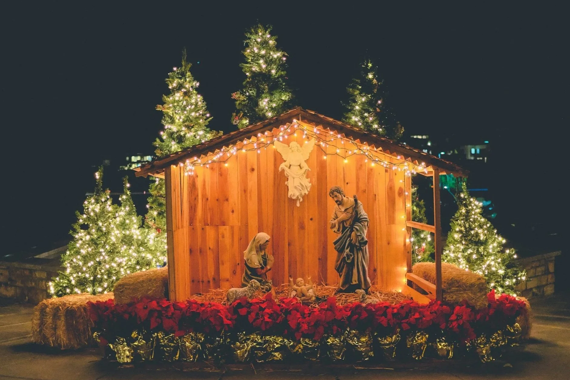A nativity scene with figurines of Mary, Joseph, and baby Jesus inside a wooden stable decorated with Christmas lights, surrounded by Christmas trees with lights, under a dark night sky.