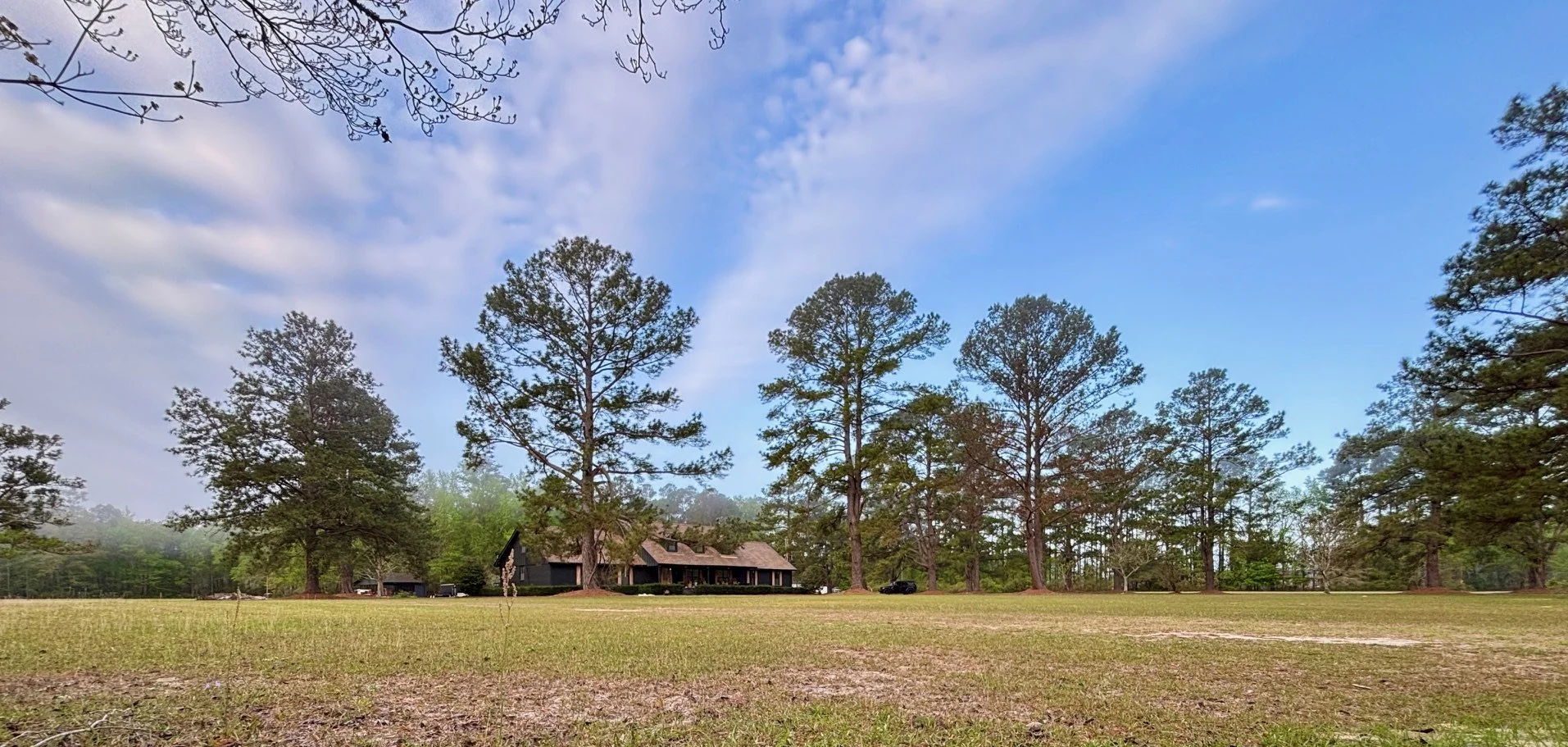 Sprawling grassy yard with tall pine trees and a house in the background, under a partly cloudy blue sky.