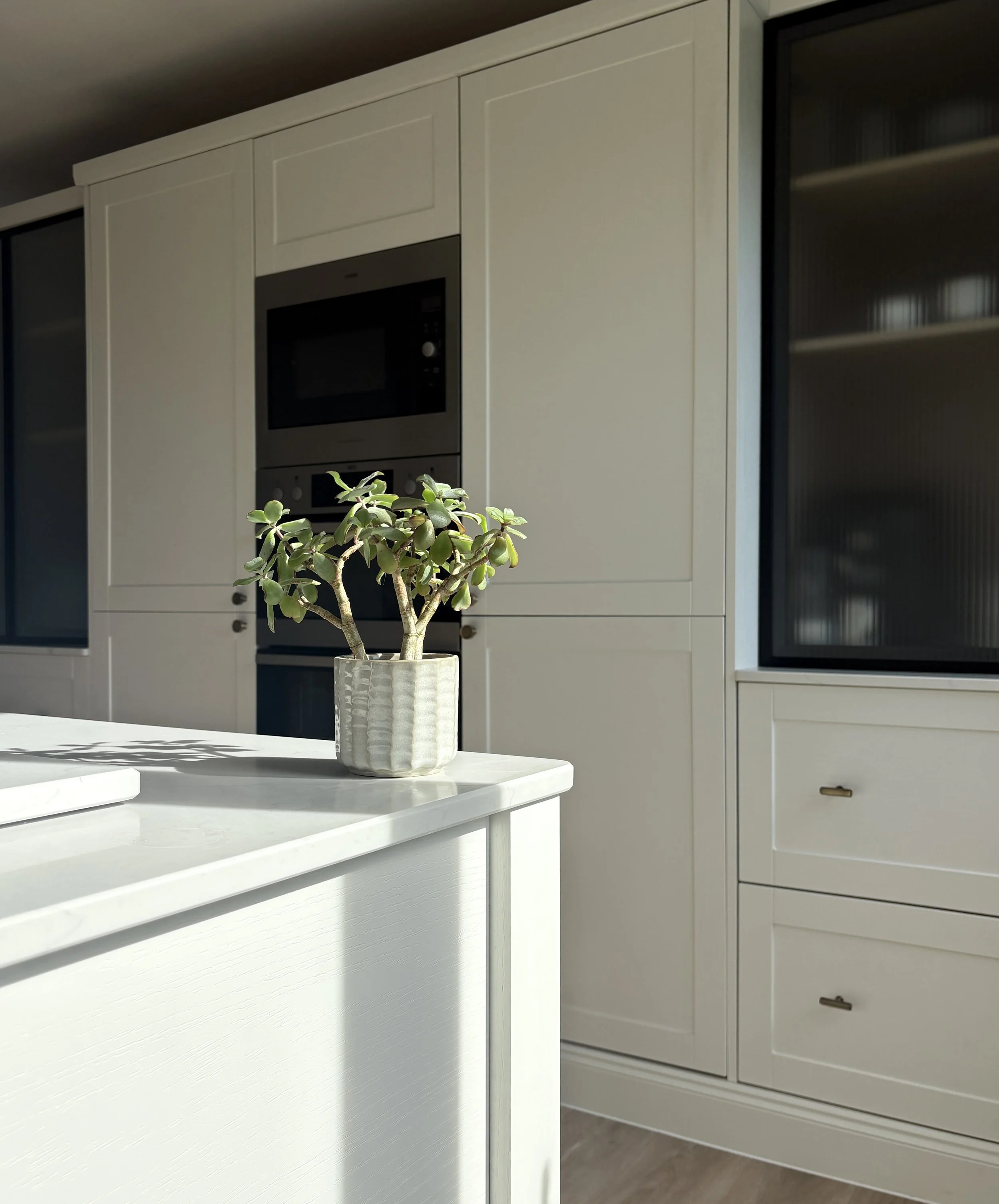 Close-up of a white kitchen cabinet and a built-in black microwave oven, with a small potted plant with green leaves in the foreground.