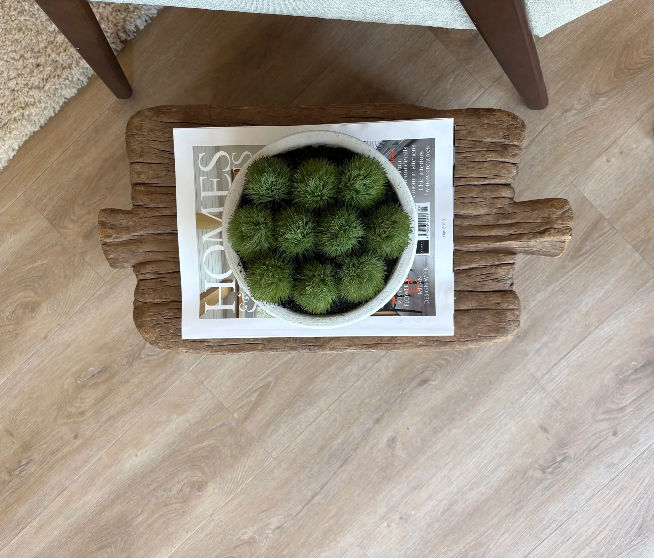 A top-down view of a round white pot with green spiky plants on a wooden surface, partly covered by a magazine.