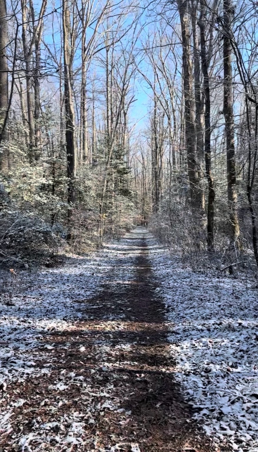 February Trail Check-In