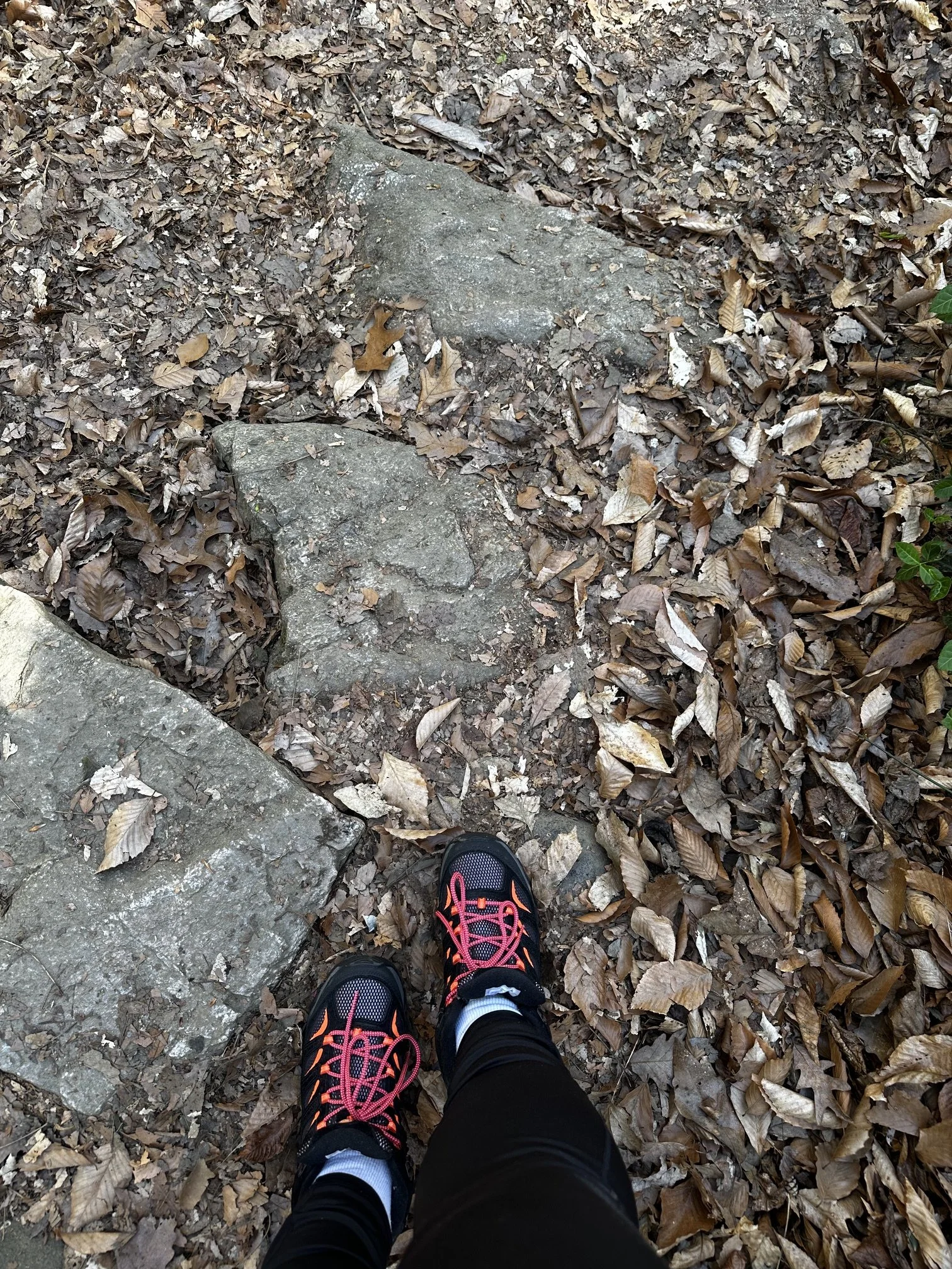 May Trail Check-In: Coming Home