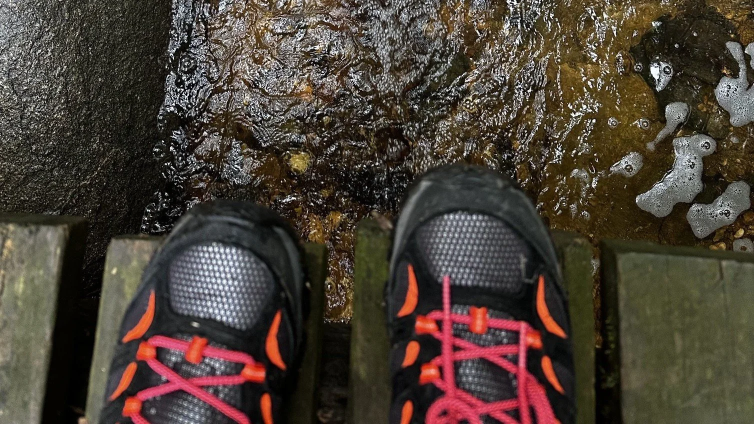 July Trail Check-In: What Nobody Teaches You About the Climb